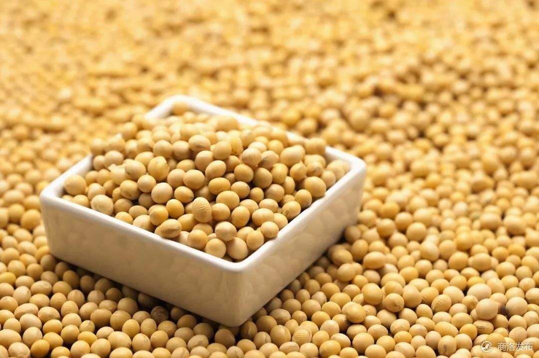 大豆异黄酮（soybean isoflavones）是一种从大豆中提取的有弱雌激素作用的化合物，可作为雌激素受体的激动剂或拮抗剂发挥作用。大豆异黄酮具有多种生物活性，可促进动物生长，提高其