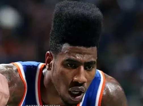 NBA热衷鼓捣头发的球员不在少数，他们希望通过发型来改变一些东西，比如最直接的是给人的观感。另外，还有可能改变一个球员的位置，例如有段子称香波特换了以下这个发型之后，