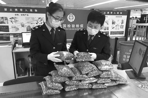 2015年12月27日，一名旅客携带大量辣木籽入境，被深圳罗湖检验检疫局工作人员截获。由于旅客无法提供相关检疫审批手续，工作人员依法对其作出处理。依照《中华人民共和国禁止携带