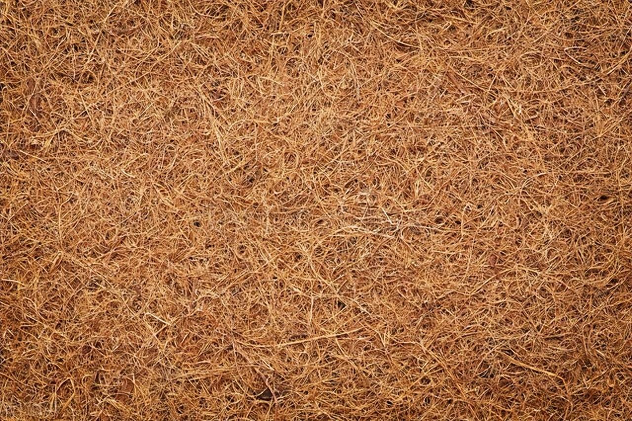 目前市面上销售的全棕床垫只要分为山棕床垫和椰棕床垫，二者来源不同,性能有异。山棕是指出生于山地的棕榈之鞘纤维,其抗水耐腐性强,弹性及韧性优良。椰棕是指生产于热带海岸和