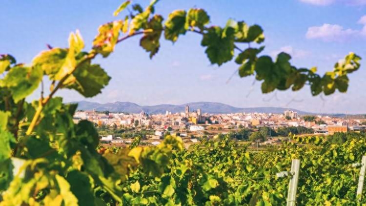 用一篇文章读懂西班牙葡萄酒，有多难？