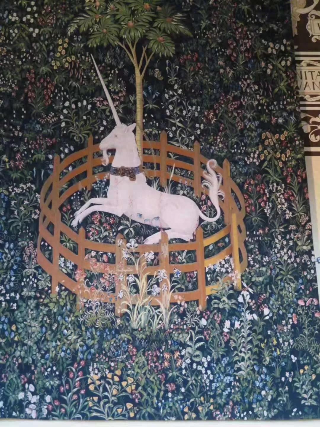 我最喜欢的是王后寝宫的独角兽挂毯。2018年冬天，我在巴黎中世纪博物馆第一次接触独角兽挂毯，欣喜莫名，我曾在“志雄走读”系列的《大巴黎》中做过详细介绍。根据官方手册记录