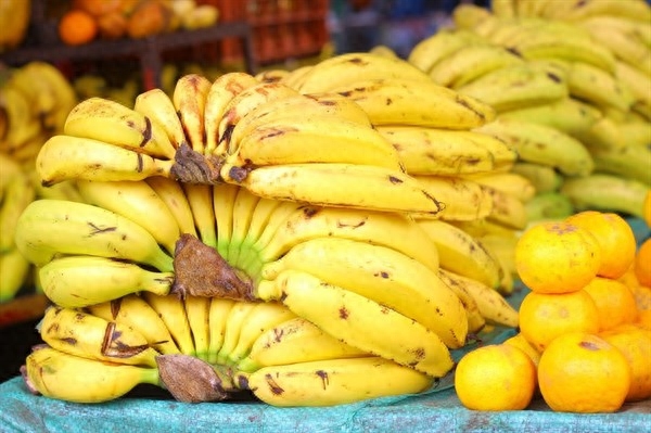 香蕉是一种好水果，我们在生活里面经常会吃它来帮助身体消化，其实香蕉的好处可不仅仅是这一个，它的好处还是很多的，对于身体的帮助也是相当的大的，我们可以多吃一些，这样