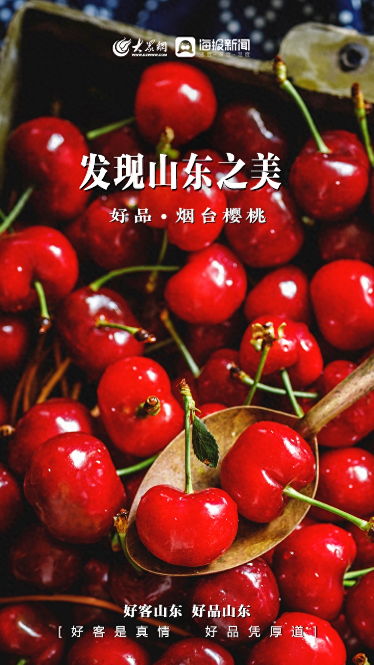 作为中国北方水果第一大省，随便往山东地图上一指，就有一款拿得出手的“水果特产”——烟台苹果、黄岛蓝莓、沾化冬枣、博山猕猴桃、莱阳梨……每一棵果树、每一个大棚，每一