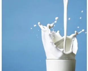关于乳制品我国居民长期钙摄入不足每天摄入300克奶或相当量乳制品可以较好补充不足促进儿童的生长发育以及成人的骨骼健康但是市面上奶的种类繁多纯牛奶、高钙牛奶、酸奶、奶酪