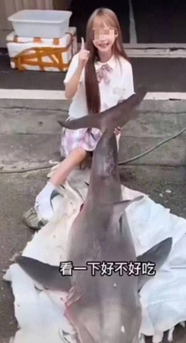 近日，四川网红烹食噬人鲨一事引发了持续关注。7月31日，四川南充警方确认，当地网红博主“提子”烹煮的鲨鱼，确系大白鲨。南充市有关部门表示，被烹煮的大白鲨来源于福建沿海