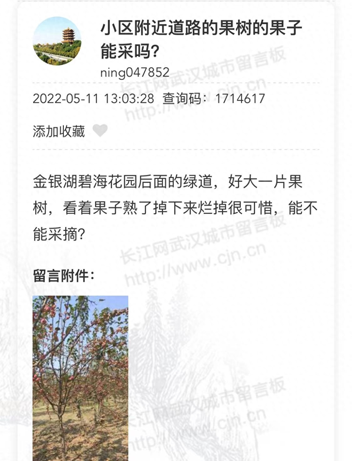近期，有多位网友在武汉城市留言板上反映街边公园种了很多果树现在到了果子成熟的季节看起来怪诱人的，能不能摘？网友吵翻了网友热议：看着果子熟了掉下来烂掉好可惜啊案例一