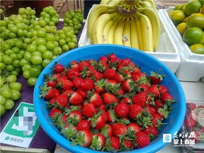 掌上春城讯10月16日，记者走访昆明水果市场了解到，今秋首批草莓已抢“鲜”上市，售价一般35元/公斤。在梁源小区菜市场，爱吃草莓的周女士发现，市场上已有一家摊主销售草莓。在