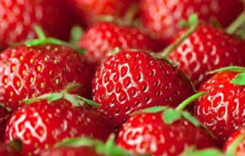 草莓属于浆果类的水果，它的家族非常的大，如洋莓、地莓、树莓、蔓越莓、红莓、蓝莓、紫莓等等，都是草莓的兄弟姐妹，口感上都十分的诱人，就拿比较物美价廉的草莓来说，是人
