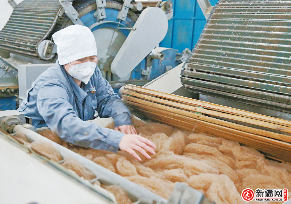 12月20日，在新疆玉泰驼绒纺织品有限公司生产车间，员工在驼绒流水线上作业。（全媒体记者陈岩摄）新疆网讯（全媒体记者唐红梅）在生产车间内，一台台梳毛机飞速运转着，经过一