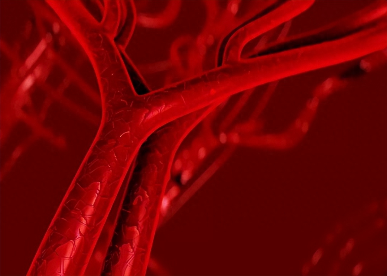 导语：心脑血管问题的发生率日渐升高，让人们都开始注重保护心血管健康了，我们身体当中的血管实在是太多了，可以说任何一个身体部位和脏腑都需要血管来提供血液氧气以及水分