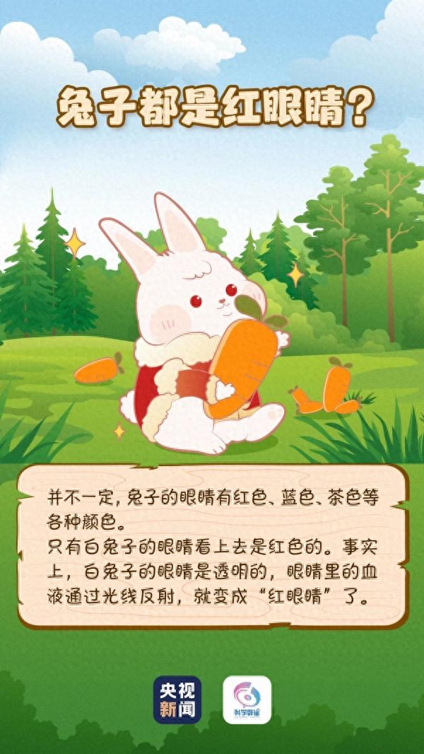 今天（20日）是农历腊月二十九，距离兔年只有2天。提到兔子，很多人的第一反应都是长耳朵、红眼睛、最爱吃胡萝卜，但事实确实是如此吗？今天，小编带你一起了解下关于兔子的小