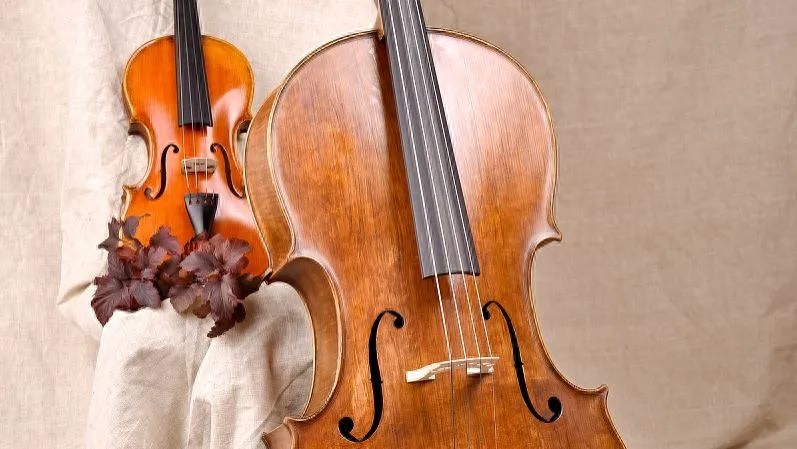 作为大提琴初学者，是不是对如何挑选自己的第一把琴感到为难呢？该如何兼顾预算和音色呢？今天就来帮帮有这些问题的小伙伴！看看应该从哪些方面入手，才能挑到合适自己的大提