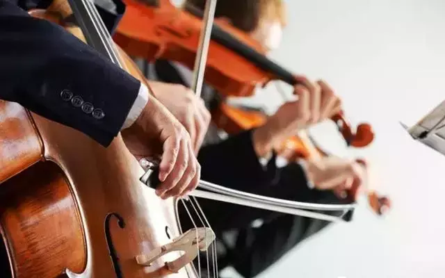 小提琴在弦乐器组中体积最小，音域最高，它的表现力格外丰富多样。在演奏技术方面，小提琴在全乐队中也最灵活，它适于演奏任何速度和形式的乐句，包括带有和弦式进行的乐句。
