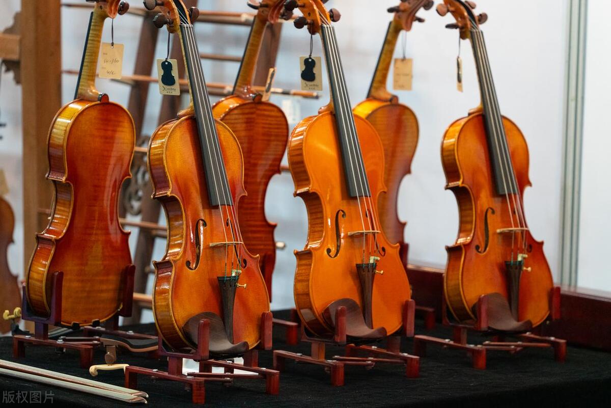 #多彩夏日生活#小提琴、中提琴和大提琴的区别 在音乐世界中，小提琴、中提琴和大提琴是三种最重要的乐器之一，都是弓弦乐器，但是它们在外观、大小、音质、音域、音色和演奏技