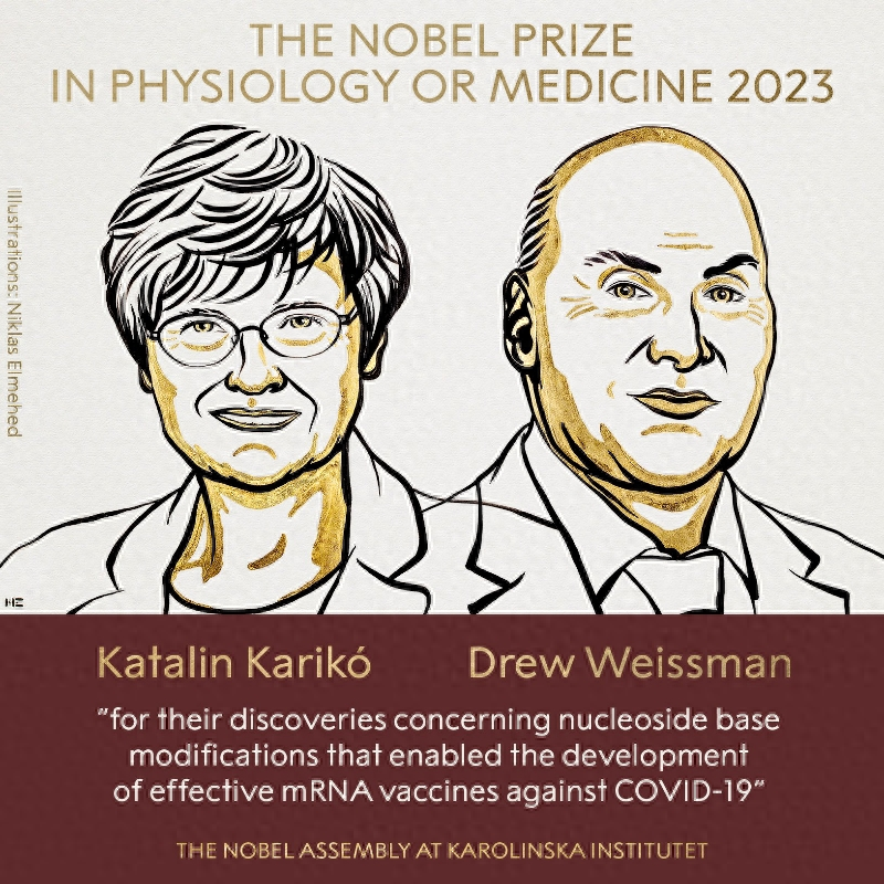 封面新闻记者 谭羽清 部分图片由被访者提供10月2日，2023年诺贝尔生理学或医学奖公布，授予给了卡塔林·卡里科（Katalin Karikó ）和德鲁·魏斯曼（Drew Weissman），因为他们在核苷碱基修