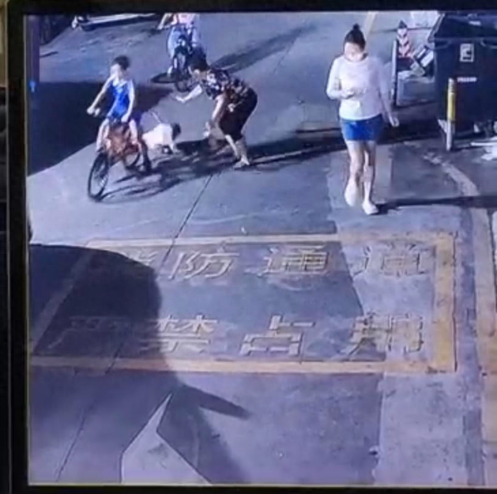 据红星新闻报道，日前，一男孩在小区骑自行车撞倒两岁幼童的视频在网络热传。监控画面中，一家长正带着幼童散步，一名身穿蓝色衣服的男孩突然从后方骑车而来，幼童被撞，后脑