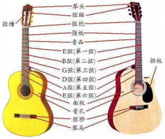 吉他各部件名称一.指法（1）右手：持琴姿势时吉他从上到下，由粗到细，左手拇指控制最上面三根弦（也就是第六到第四弦）然后食指,中指，无名指，分别拨动第三弦，第二弦，第一